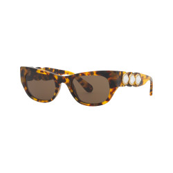 Sunglasses Oval Shape, SK6022, Brown