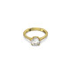Δαχτυλίδι Κοκτέιλ Constella Κοπή Princess Pavé, Λευκό, Επιμετάλλωση σε Χρυσαφί Τόνο